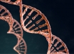 DNA donation law passes parliament